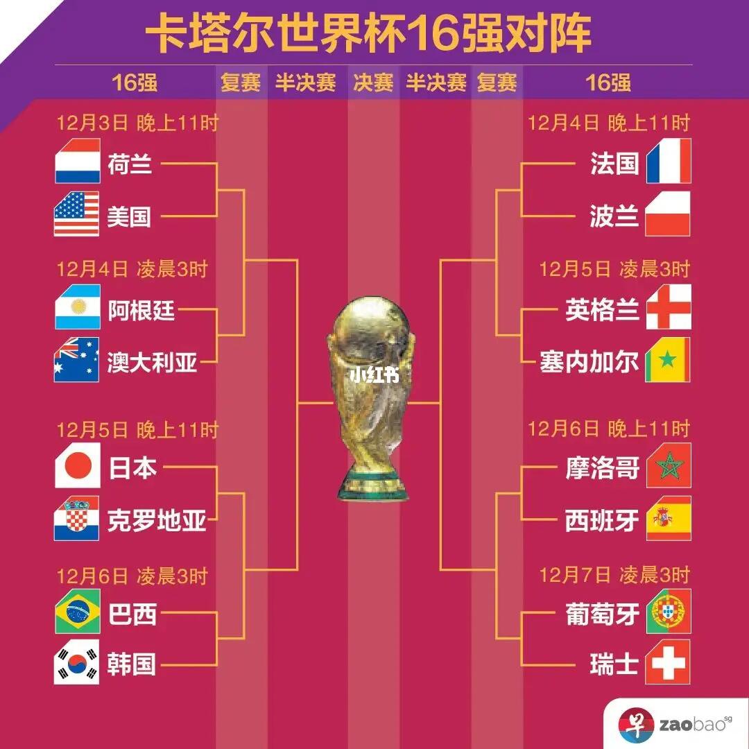 鹈鹕分